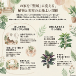 あえて今、観葉植物をお迎えした理由